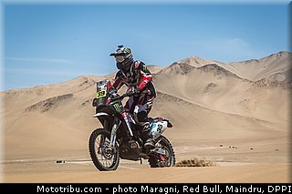 fish_0015_dakar_2013.jpg