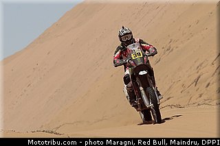 fish_0016_dakar_2013.jpg