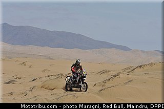 fish_0018_dakar_2013.jpg