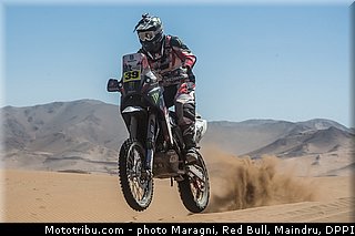 fish_0019_dakar_2013.jpg