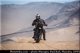 fish_0020_dakar_2013.jpg