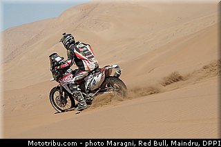 fish_0021_dakar_2013.jpg