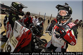 fish_0023_dakar_2013.jpg