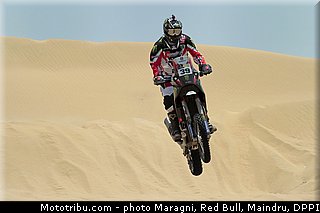 fish_0025_dakar_2013.jpg