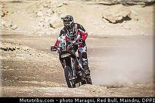 fish_0027_dakar_2013.jpg