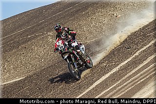 fish_0028_dakar_2013.jpg
