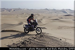 fish_0031_dakar_2013.jpg