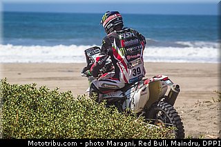 fish_0032_dakar_2013.jpg