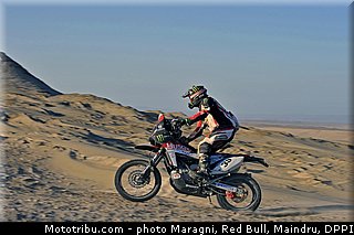 fish_0034_dakar_2013.jpg