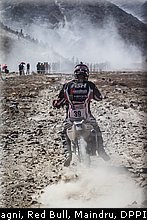 fish_0036_dakar_2013.jpg