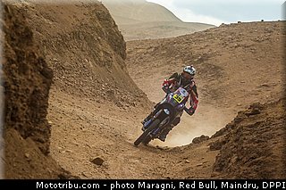 fish_0040_dakar_2013.jpg
