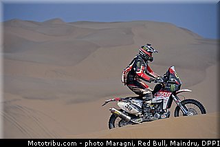 fish_0041_dakar_2013.jpg