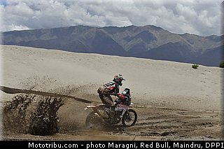 fish_0045_dakar_2013.jpg