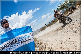 fish_0046_dakar_2013.jpg