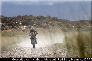 fish_0047_dakar_2013.jpg