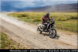 fish_0048_dakar_2013.jpg