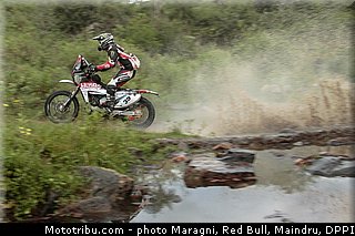 fish_0050_dakar_2013.jpg