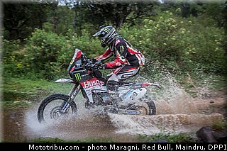 fish_0051_dakar_2013.jpg