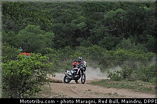 fish_0053_dakar_2013.jpg