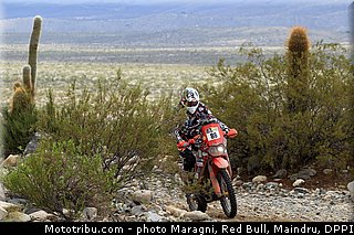 gadioux_0001_dakar_2013.jpg