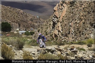 gardulski_0001_dakar_2013.jpg