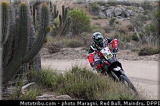 goncalves_0004_dakar_2013.jpg