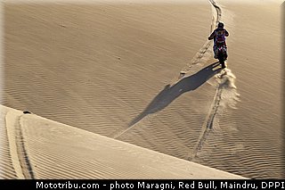 goncalves_0005_dakar_2013.jpg