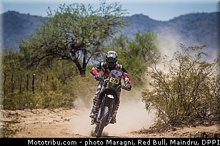 goncalves_0027_dakar_2013.jpg