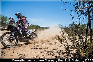 goncalves_0030_dakar_2013.jpg
