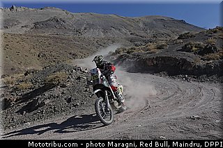goncalves_0045_dakar_2013.jpg