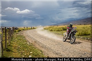 goncalves_0087_dakar_2013.jpg