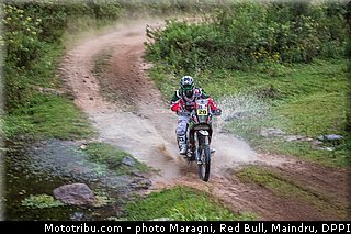 goncalves_0090_dakar_2013.jpg