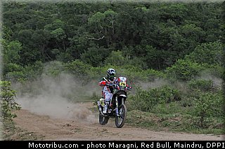 goncalves_0091_dakar_2013.jpg