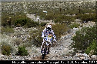 knuiman_0002_dakar_2013.jpg
