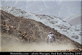 martens_0002_dakar_2013.jpg