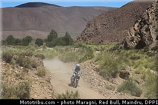 metge_0012_dakar_2013.jpg