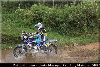 metge_0016_dakar_2013.jpg