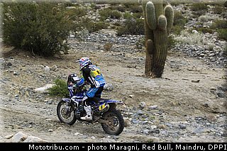 pain_0006_dakar_2013.jpg
