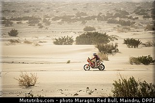 pascual_0002_dakar_2013.jpg
