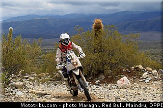 pavey_0002_dakar_2013.jpg