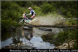 pedrero_0015_dakar_2013.jpg