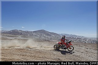 pizzolito_0001_dakar_2013.jpg