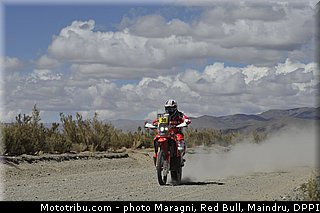 pizzolito_0013_dakar_2013.jpg