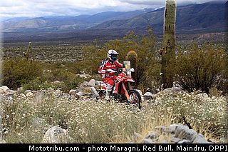 pizzolito_0016_dakar_2013.jpg