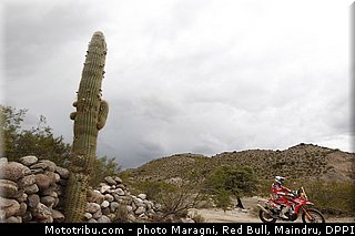 pizzolito_0043_dakar_2013.jpg