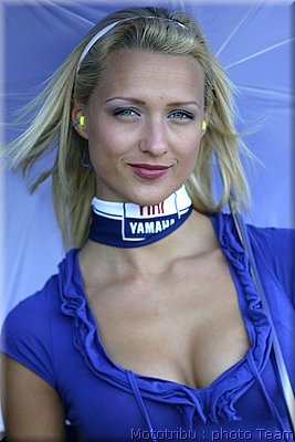 pitbabes_16.jpg