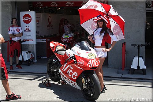 pitbabes_11.jpg