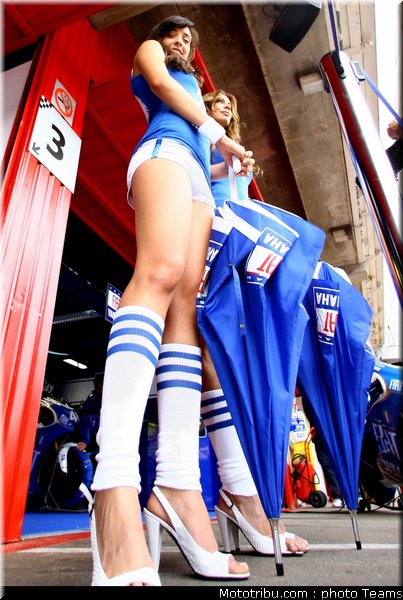 pitbabes_motogp_2008_0419