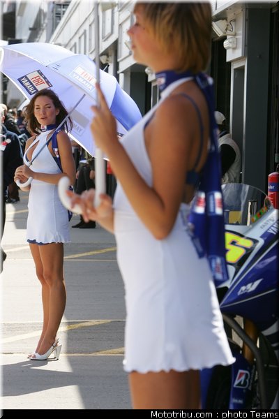 pitbabes_motogp_2008_0559