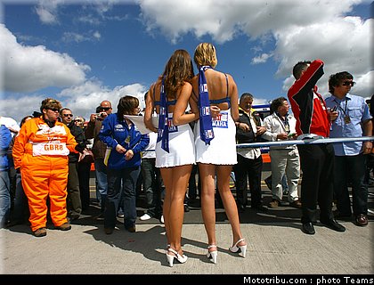 pitbabes_motogp_2008_0337.jpg